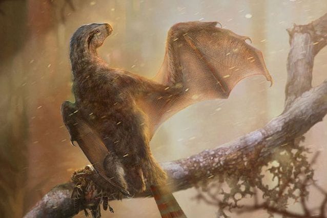 Nuova specie di dinosauro con ali da pipistrello: ...