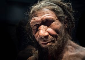 Uomo di Neanderthal, la sua estinzione causata ...