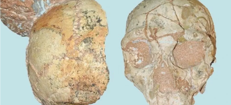 Homo sapiens in Europa già 210.000 anni fa