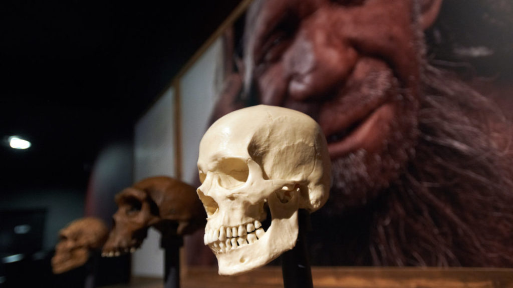 L'estinzione dei Neanderthal è stata solo sfiga