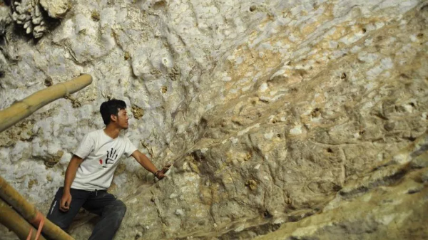 In Indonesia scoperta una storia dipinta 44 mila anni fa: ...