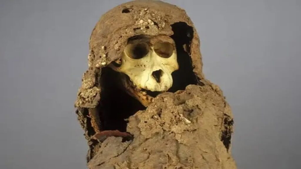 Il mistero delle strane mummie ...